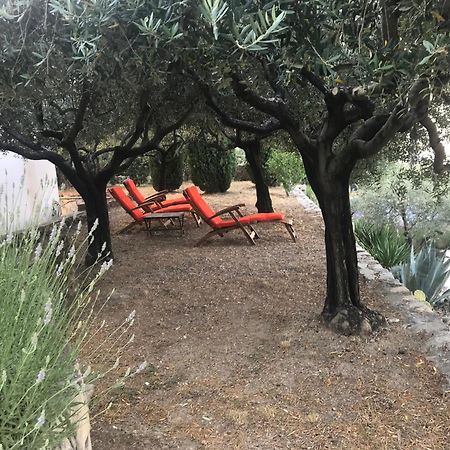 Le Clos En Provence Flayosc Værelse billede