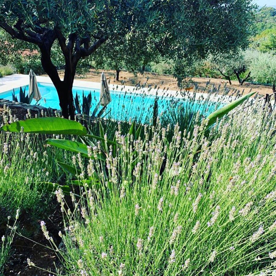 Le Clos En Provence Flayosc Eksteriør billede